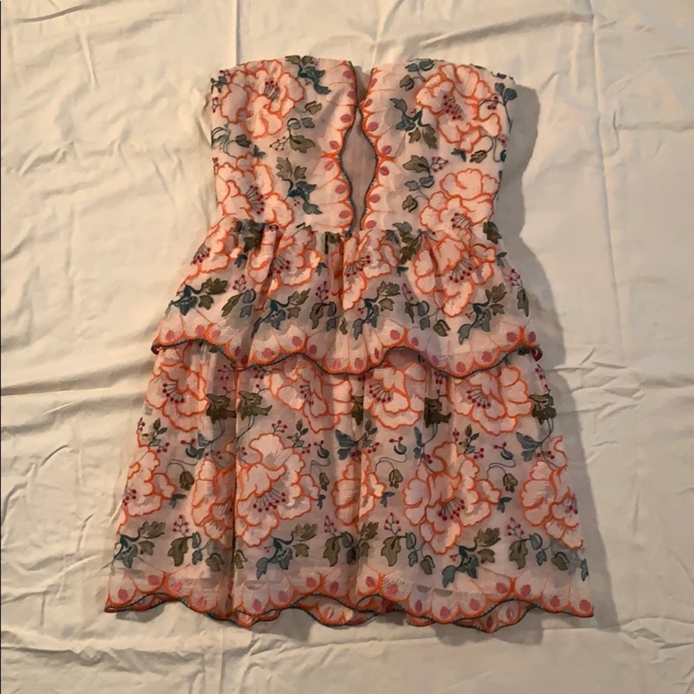 BCBG light pink and flower Embroidered dress